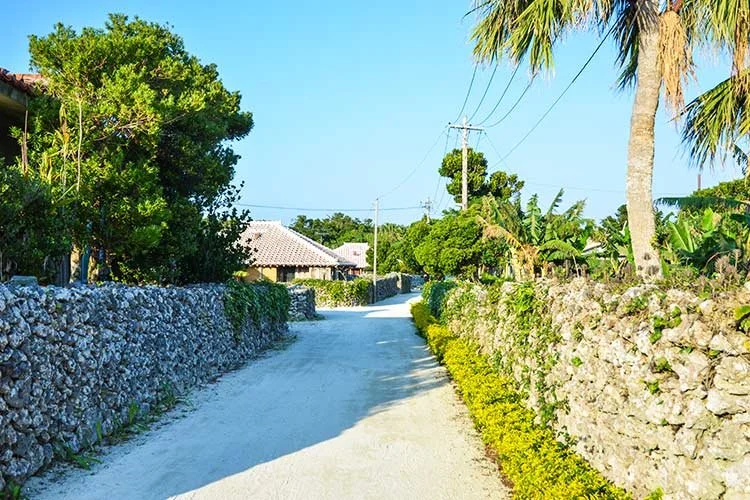 3-%ED%83%80%EC%BC%80%ED%86%A0%EB%AF%B8.jpg?type=w1200