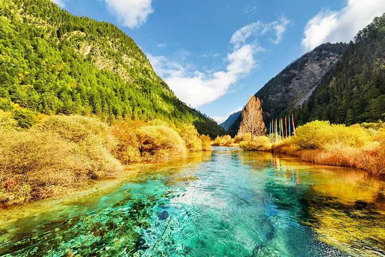 3-%EC%A3%BC%EC%9E%90%EC%9D%B4%EA%B1%B0%EC%9A%B0.jpg?type=w1200