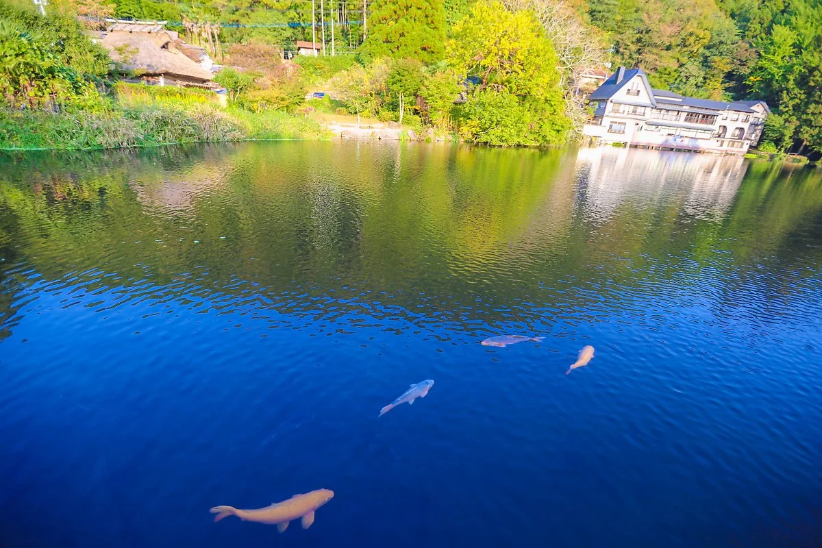 %EA%B8%B4%EB%A6%B0%EC%BD%94_%ED%98%B8%EC%88%98_%282%29.jpg?type=w1200