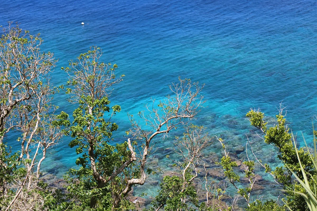 %EC%82%AC%EC%9D%B4%ED%8C%90%EC%9E%90%EC%9C%A0%EC%97%AC%ED%96%8925.JPG?type=w1200