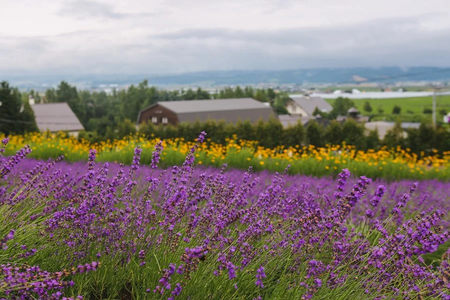 5%EC%9B%94SEO.%EC%82%BF%ED%8F%AC%EB%A1%9C%EC%97%AC%EB%A6%8408.jpg?type=w1200