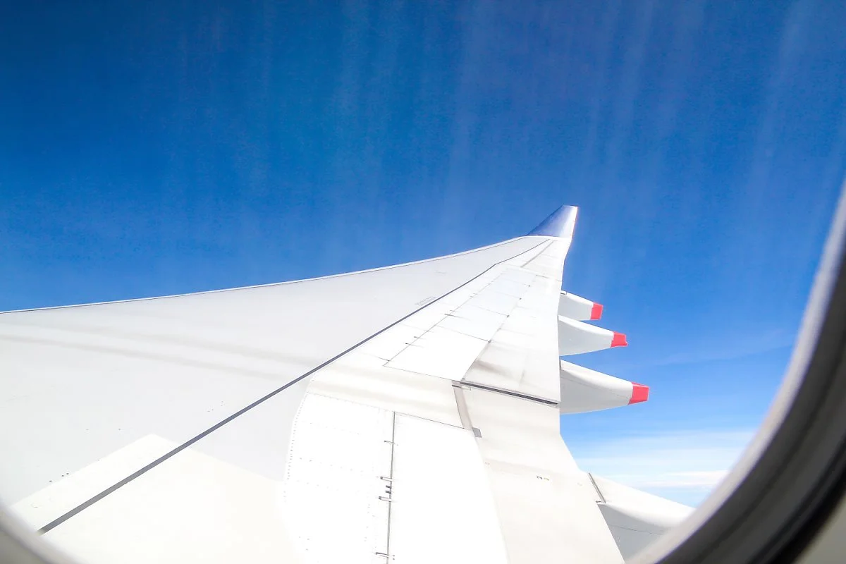 1IMG_3663.jpg?type=w1200