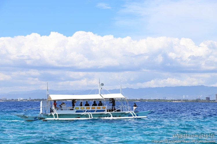 03._%ED%98%B8%ED%95%91%ED%88%AC%EC%96%B4.png?type=w1200