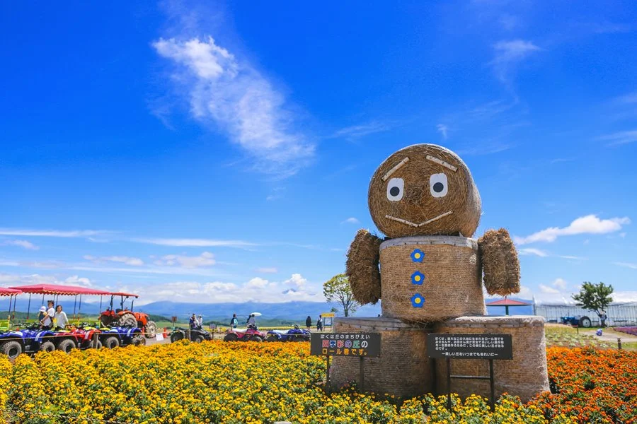 5%EC%9B%94SEO.%EC%82%BF%ED%8F%AC%EB%A1%9C%EC%97%AC%EB%A6%8415.jpg?type=w1200