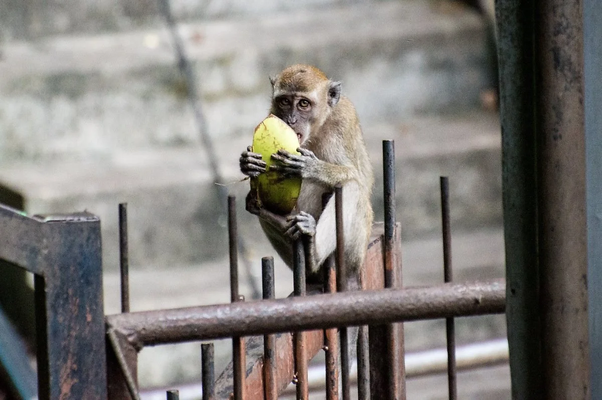 8._flickr_Andrew_H.jpg?type=w1200