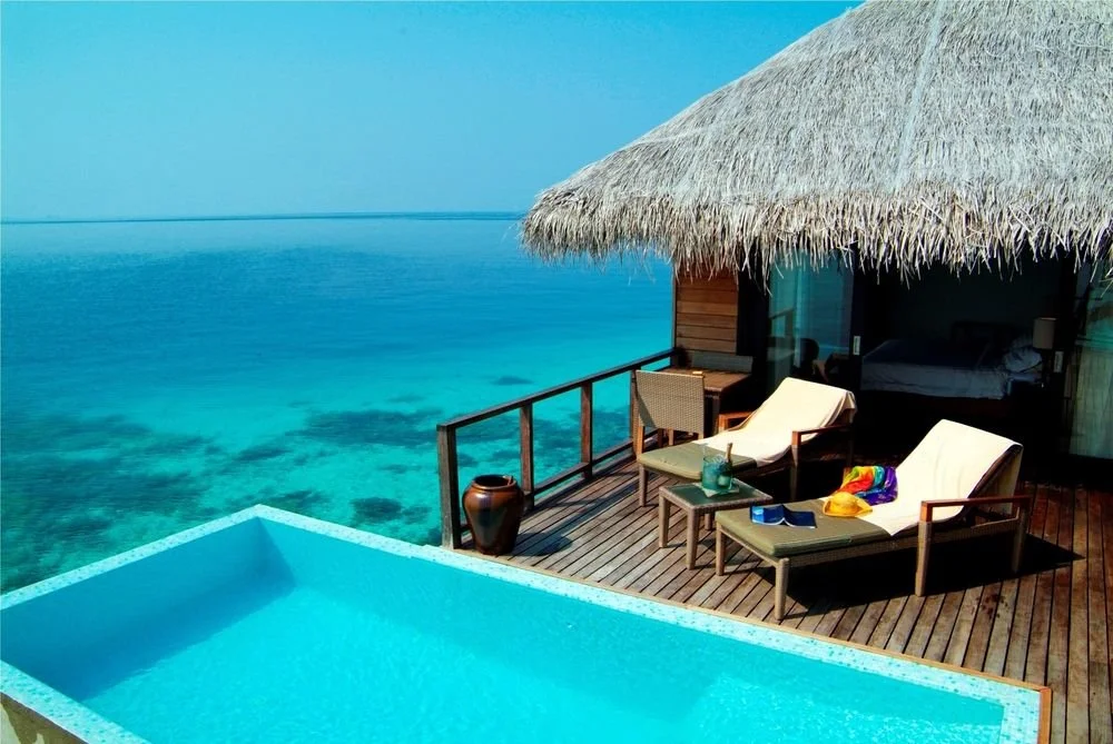 36eda23c_z.jpg?type=w1200