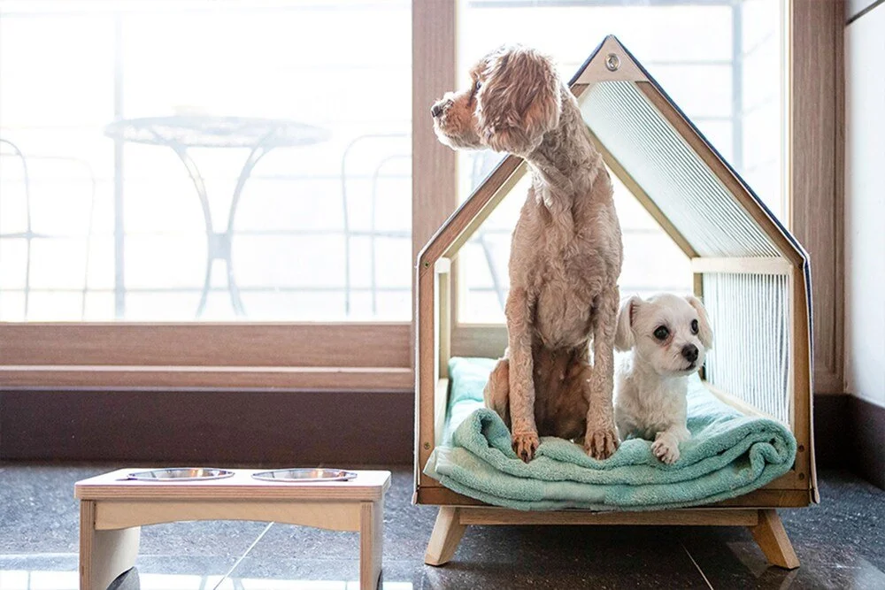 c2d62490_z.jpg?type=w1200