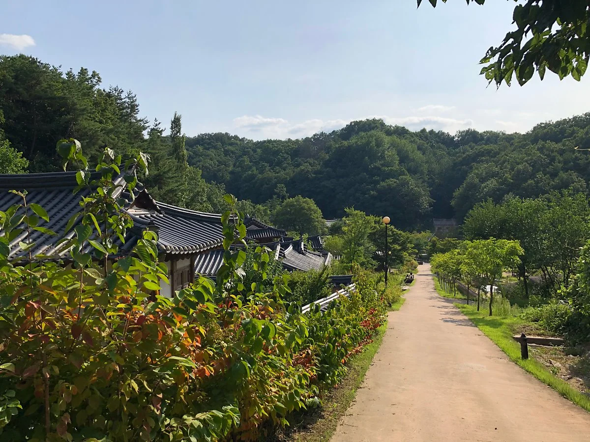 IMG_2687.JPG?type=w1200