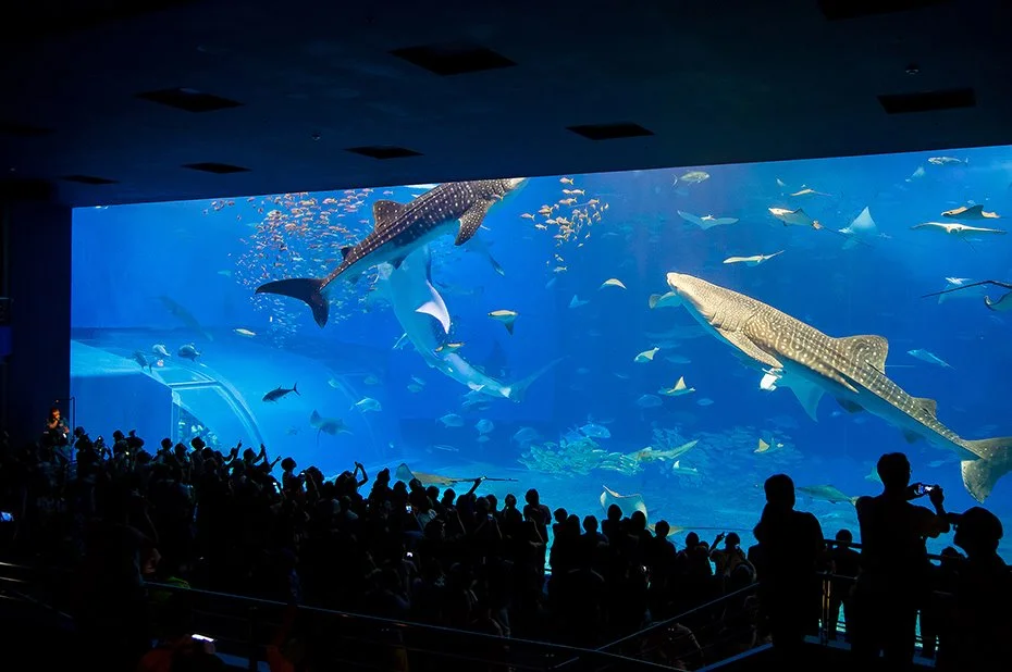 %EB%B6%81%EB%B6%80_%283%29.jpg?type=w1200