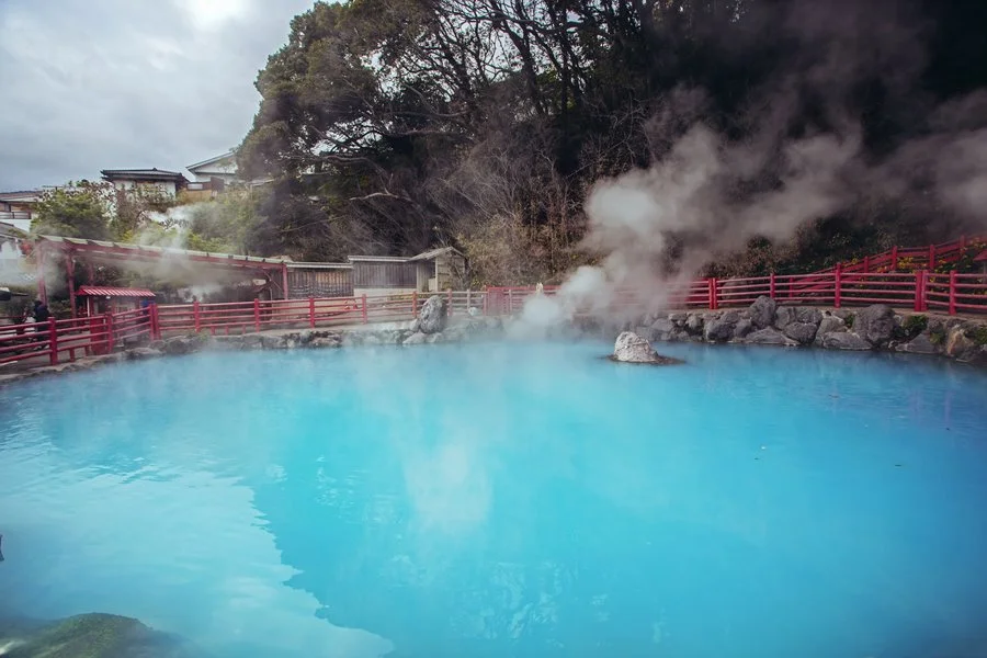 5SEO.FUK33.jpg?type=w1200