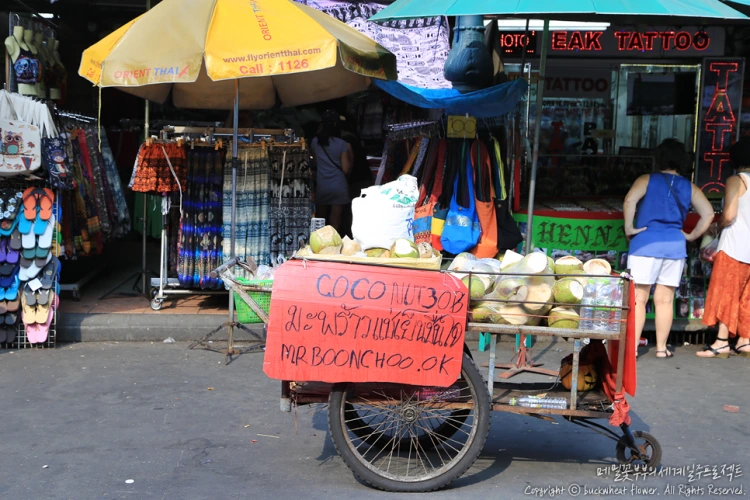 %EC%B9%B4%EC%98%A4%EC%82%B0%EB%A1%9C%EB%93%9C02.png?type=w1200