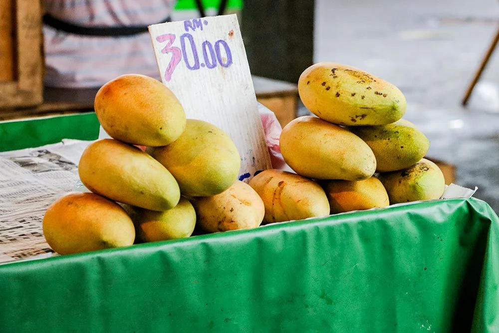 %EC%BD%94%ED%83%80%ED%82%A4%EB%82%98%EB%B0%9C%EB%A3%A8%EB%A7%9B%EC%A7%91_019_1.jpg?type=w1200