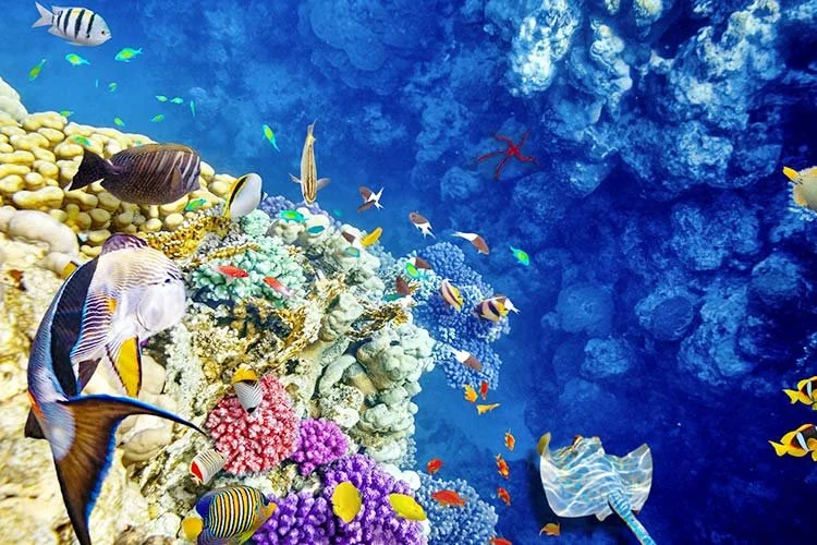 6_%283%29.jpg?type=w1200