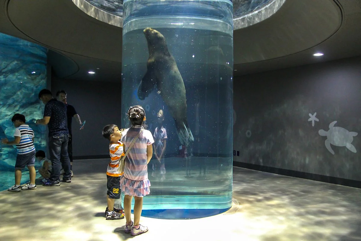 %EC%95%84%EC%BF%A0%EC%95%84%ED%94%8C%EB%9D%BC%EB%84%B7_%EC%A0%9C%EC%A3%BC_%283%29.jpg?type=w1200