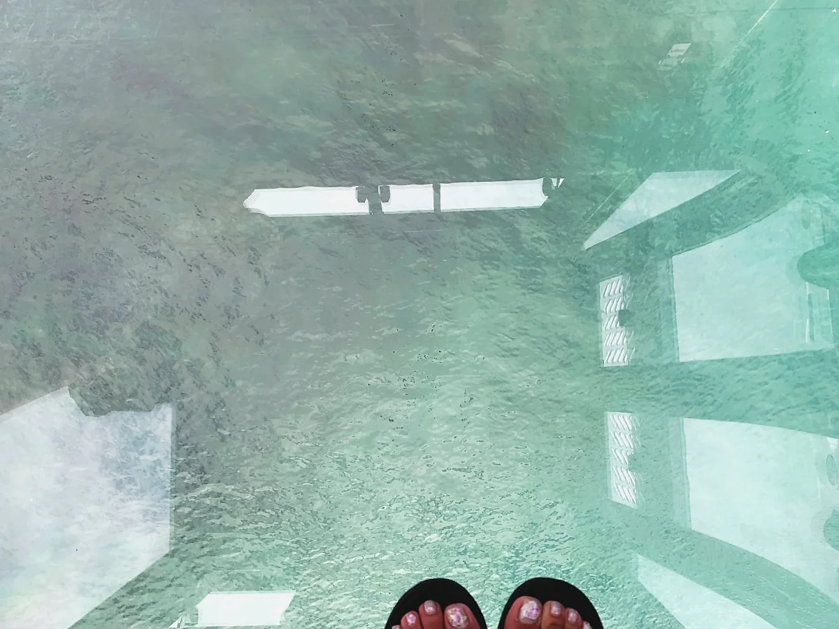 image_1970873881569403068516.jpg?type=w1200