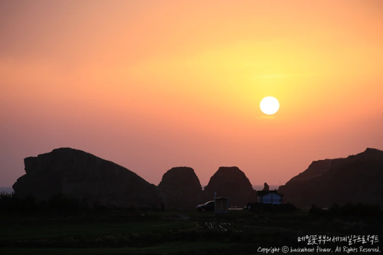 %EC%B0%A8%EA%B7%80%EB%8F%84%EC%9D%BC%EB%AA%B0_03.png?type=w1200