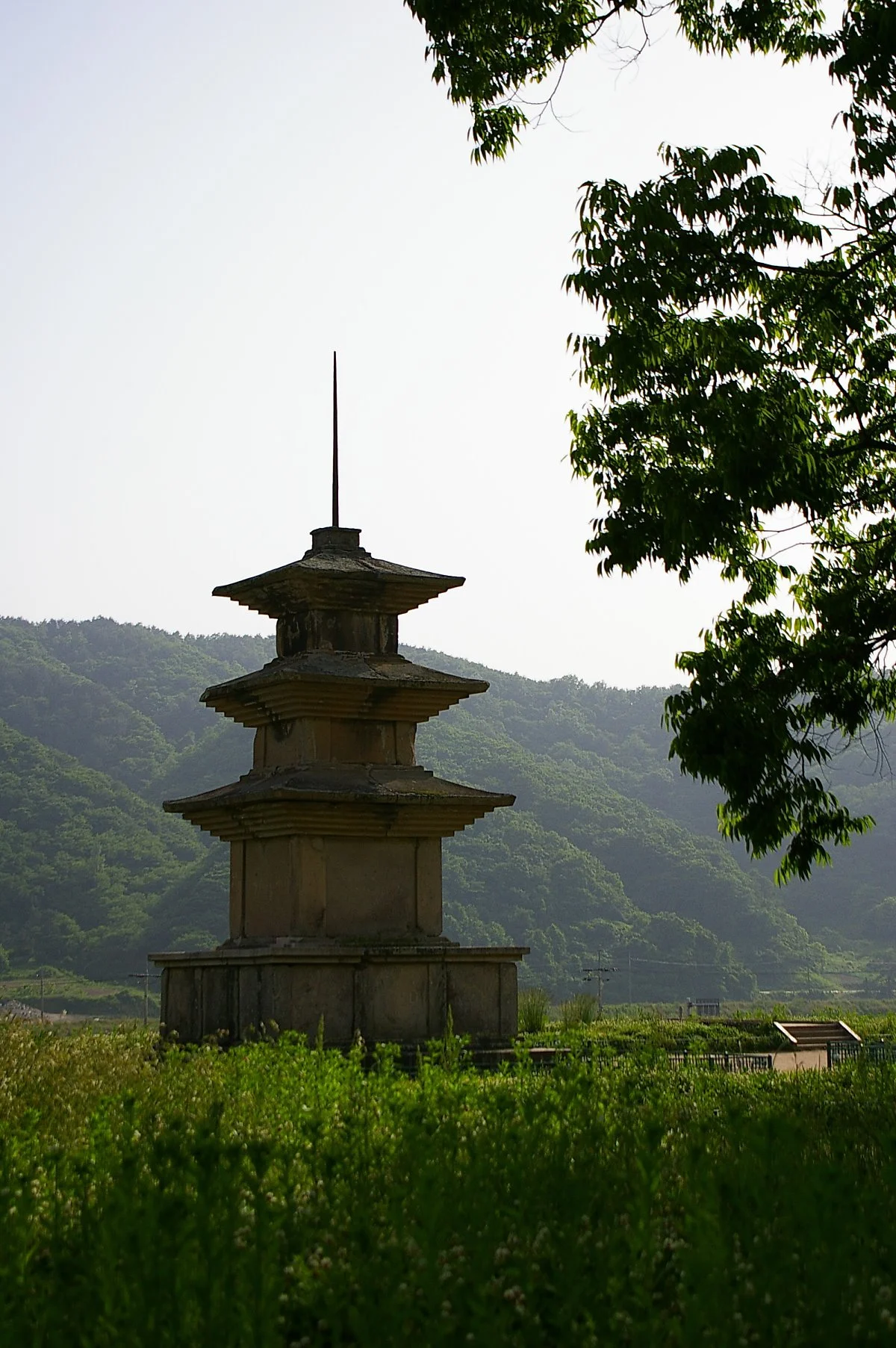 IMGP2624.JPG?type=w1200