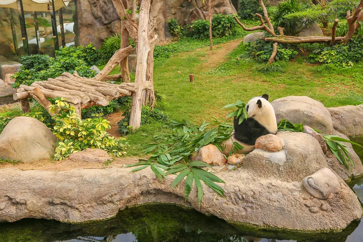 3%EC%9D%BC%EC%B0%A8_%EC%98%A4%EC%85%98%ED%8C%8C%ED%81%AC_%282%29.jpg?type=w1200