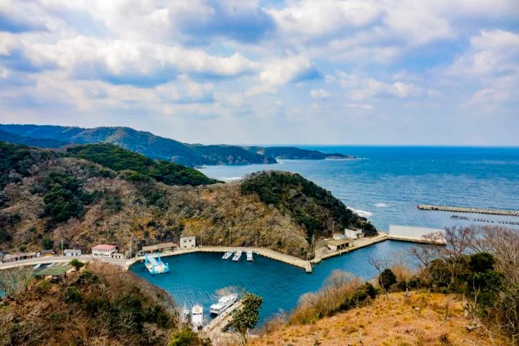 020-20.jpg?type=w1200