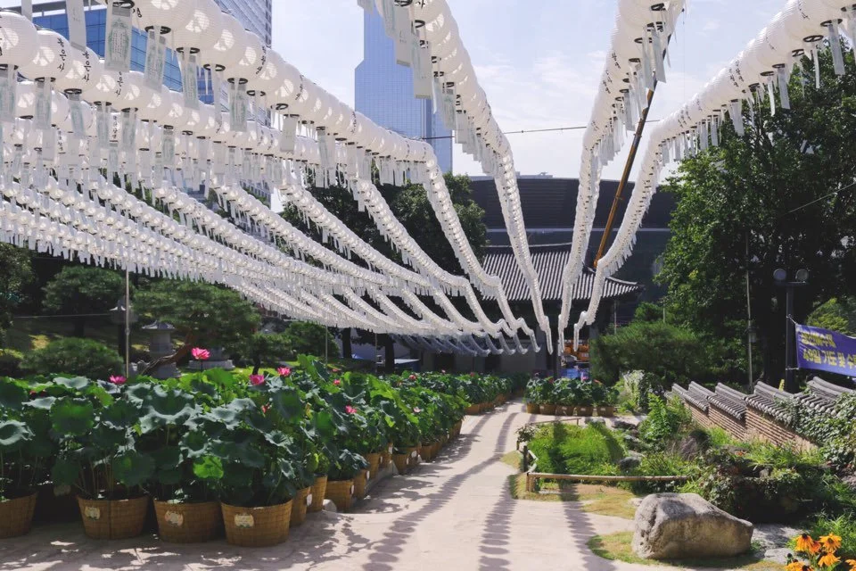 wp_5655739121567777634201.jpg?type=w1200