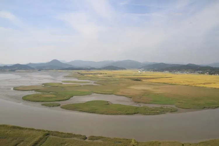 023-순천만 (1)resize.JPG