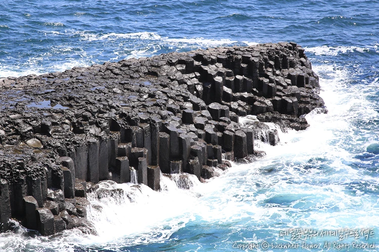 %EB%8C%80%ED%8F%AC%EC%A3%BC%EC%83%81%EC%A0%88%EB%A6%AC_02.png?type=w1200