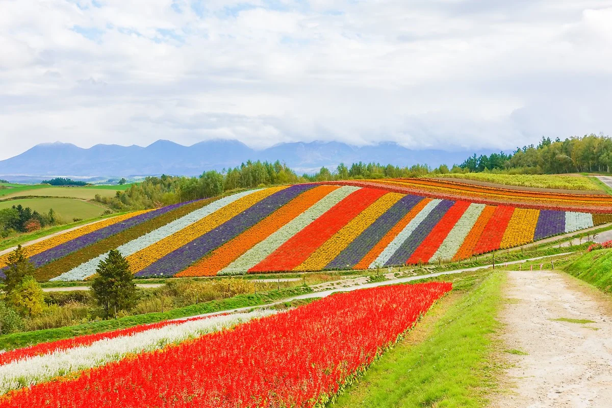 %EC%82%AC%EC%A7%841923_%EB%B9%84%EC%97%90%EC%9D%B4%ED%9B%84%EB%9D%BC%EB%85%B8_%283%29.jpg?type=w1200