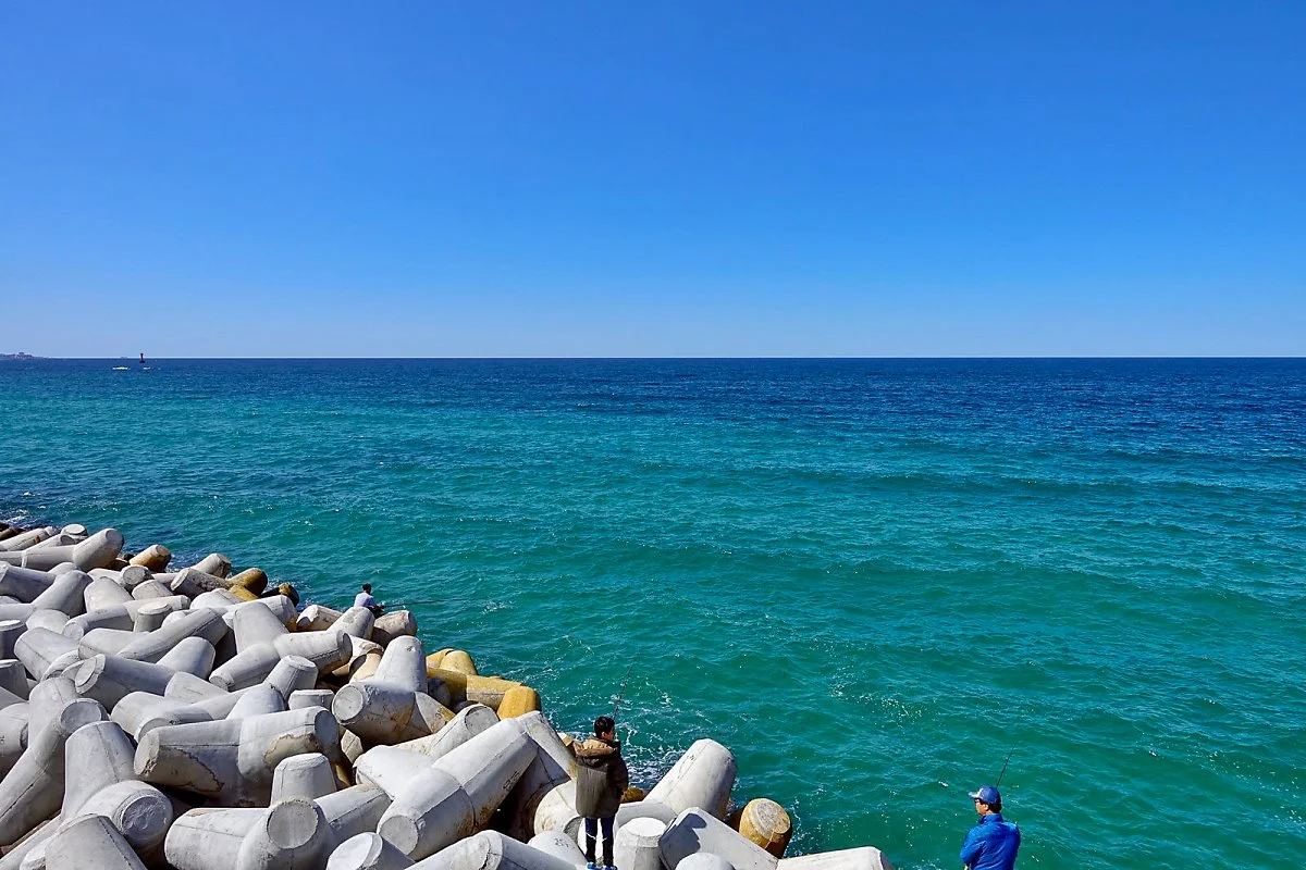 26%EC%82%AC%EA%B7%BC%EC%A7%84%ED%95%B4%EB%B3%80.jpg?type=w1200