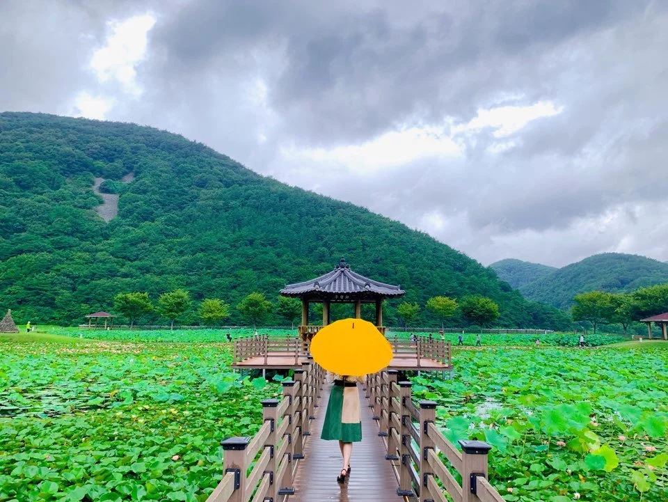 %EB%B3%B4%EC%A0%95%EC%99%84%EB%A3%8C_%284%29.jpg?type=w1200