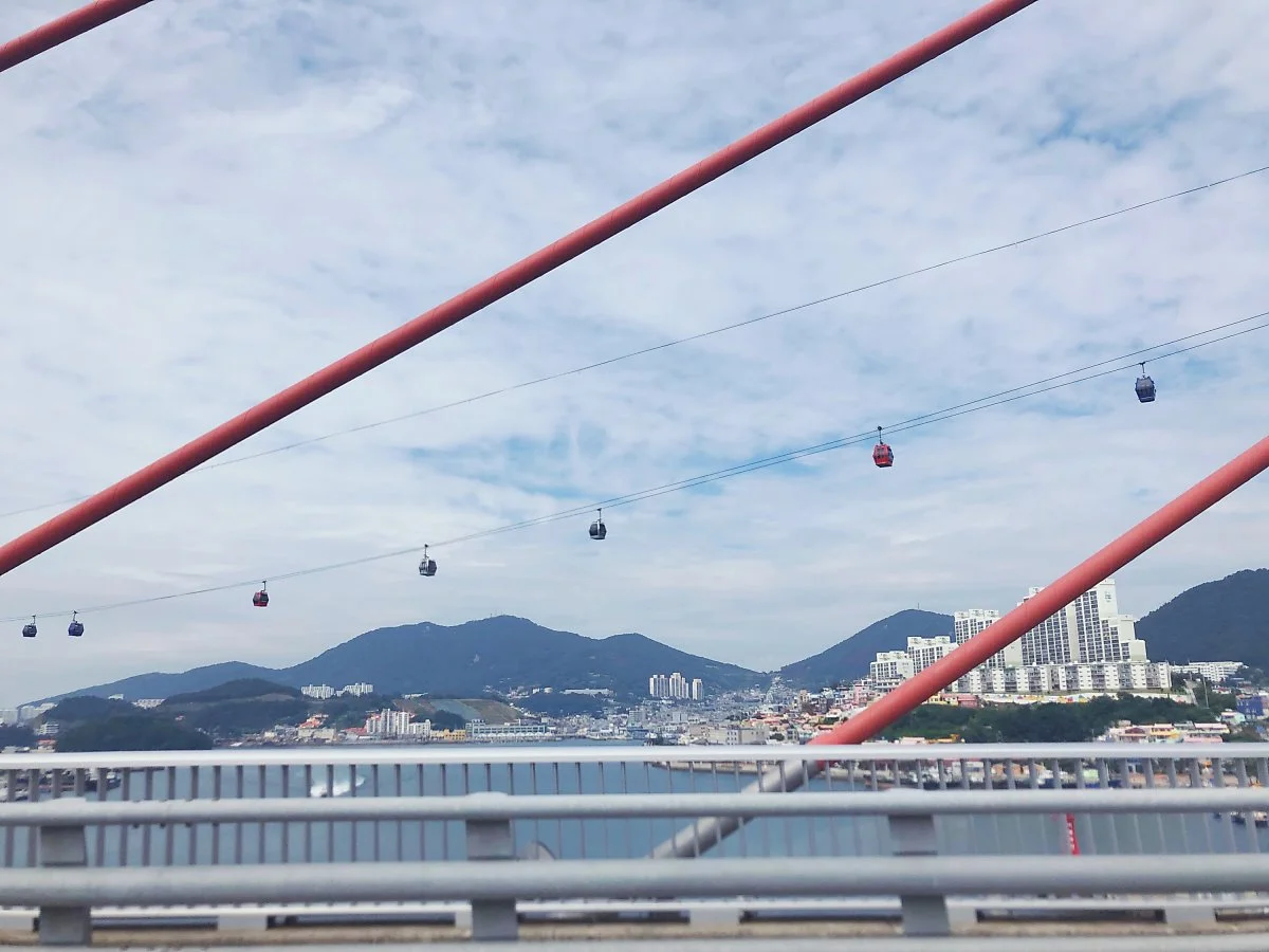 wp_6445145791569401552002.jpg?type=w1200