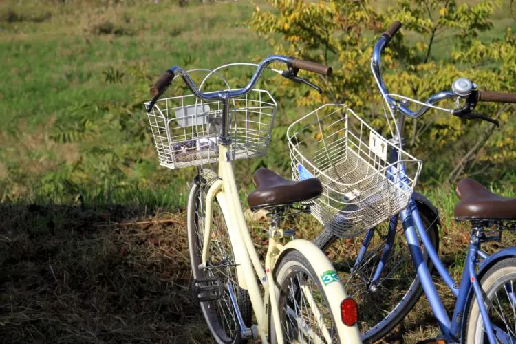 034-관방제림 (1)resize.JPG