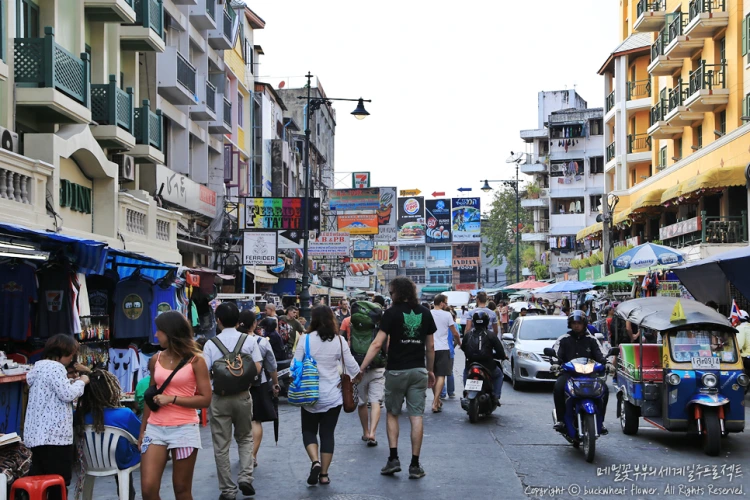 %EC%B9%B4%EC%98%A4%EC%82%B0%EB%A1%9C%EB%93%9C01.png?type=w1200