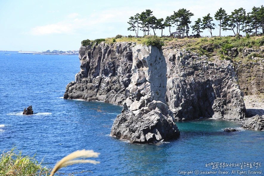 1.%EC%99%B8%EB%8F%8C%EA%B0%9C.png?type=w1200