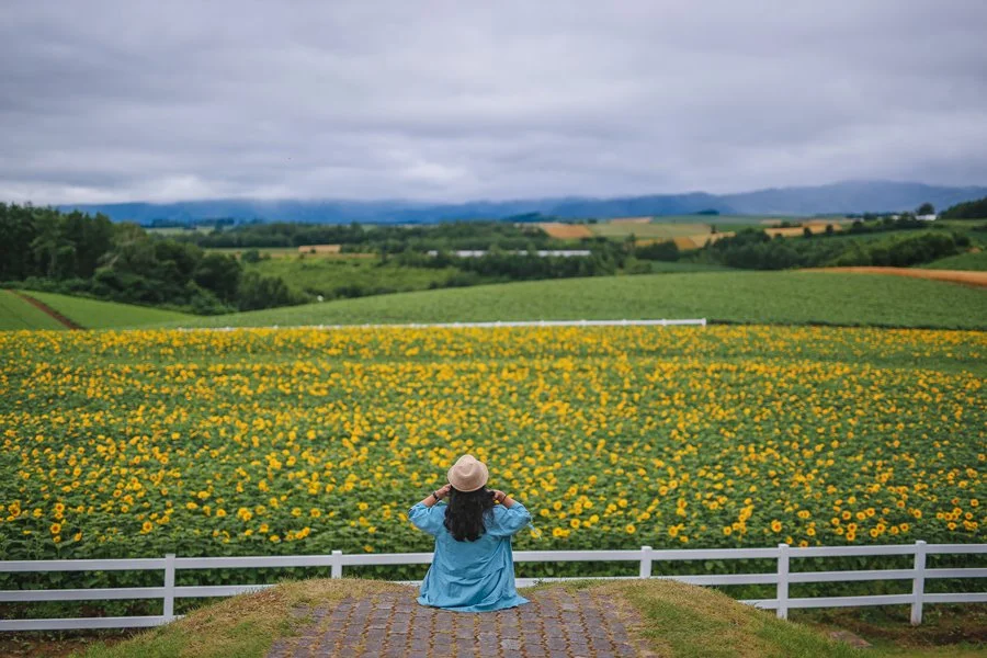 5%EC%9B%94SEO.%EC%82%BF%ED%8F%AC%EB%A1%9C%EC%97%AC%EB%A6%8424.jpg?type=w1200