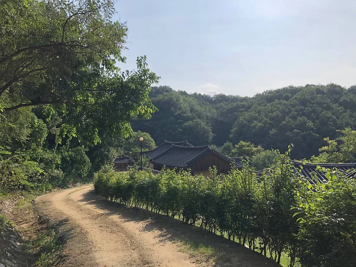 IMG_2693.JPG?type=w1200