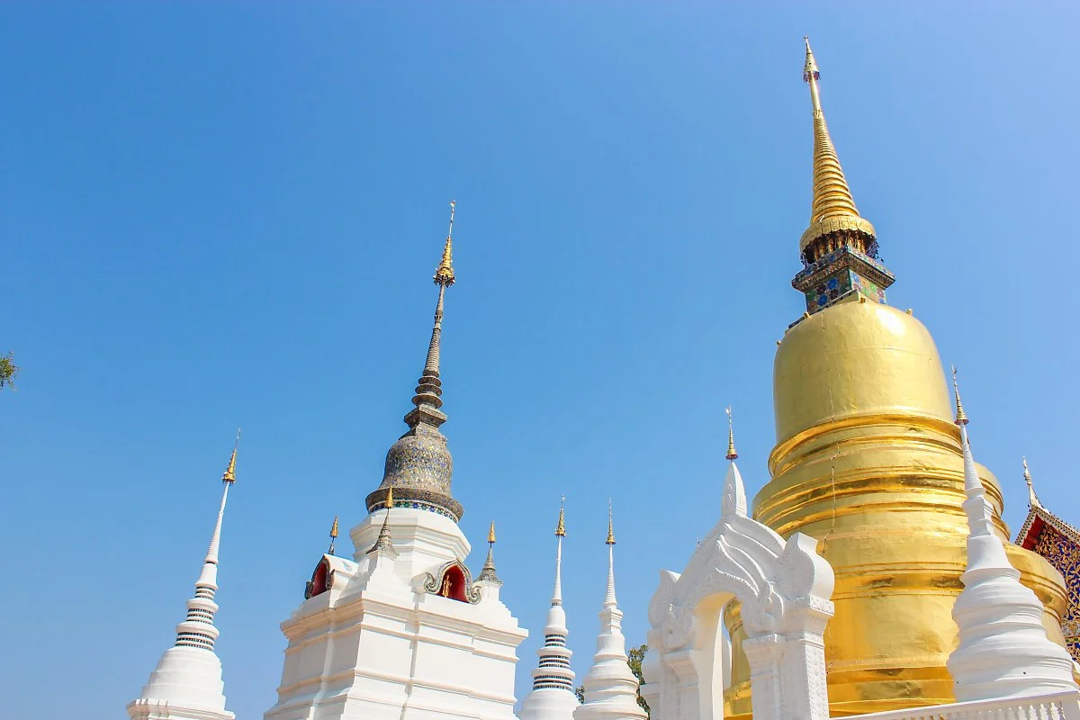 7_%EC%B9%98%EC%95%99%EB%A7%88%EC%9D%B4_%284%29.jpg?type=w1200