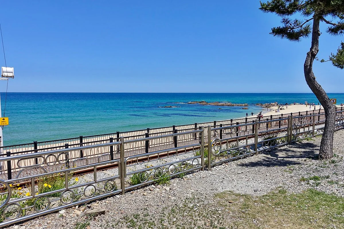 35%EC%A0%95%EB%8F%99%EC%A7%84%EC%97%AD.jpg?type=w1200