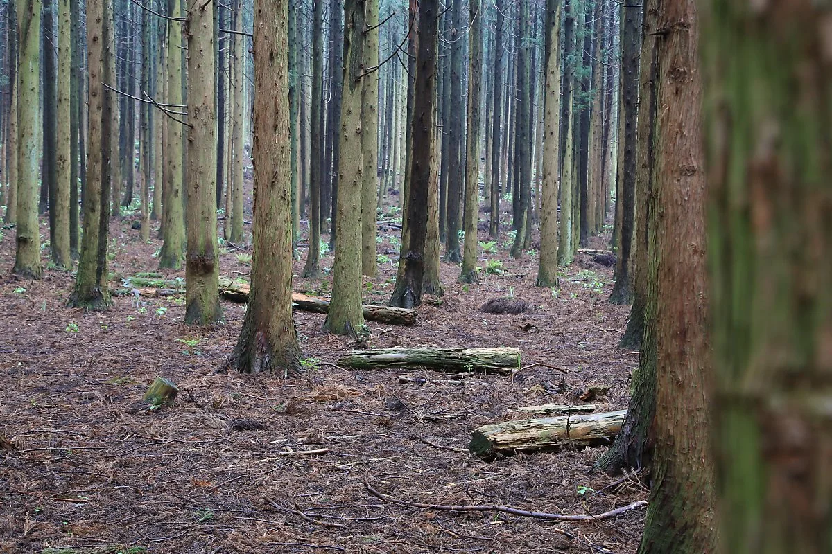 IMG_4330.JPG?type=w1200