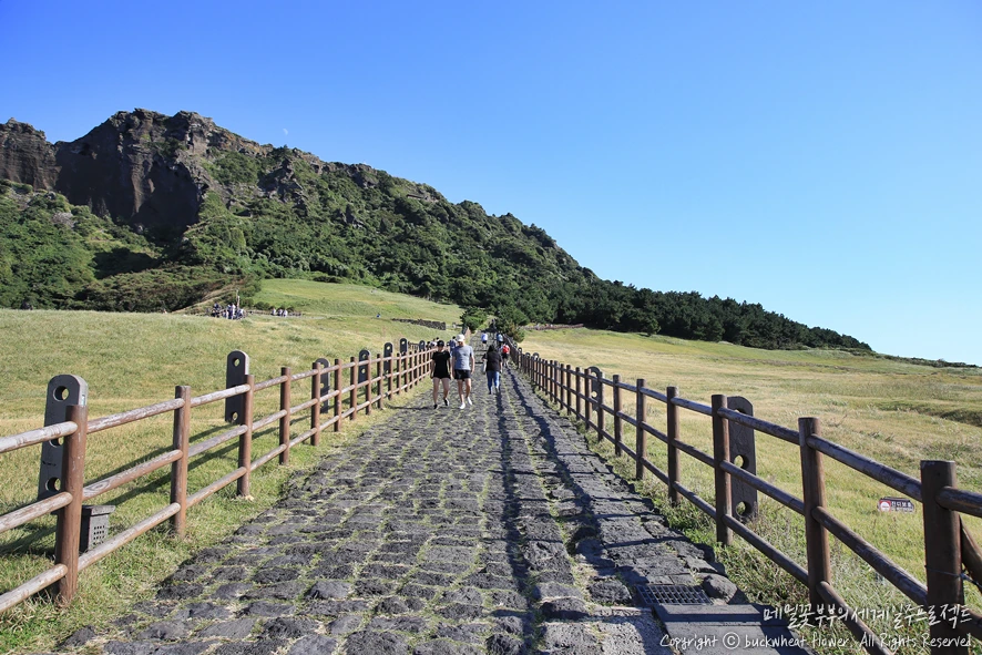 2.%EC%84%B1%EC%82%B0%EC%9D%BC%EC%B6%9C%EB%B4%89.png?type=w1200