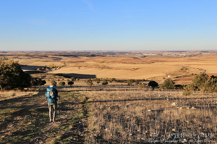 %EC%82%B0%ED%8B%B0%EC%95%84%EA%B3%A0%EC%88%9C%EB%A1%80%EA%B8%B8_%ED%92%8D%EA%B2%BD_04.png?type=w1200