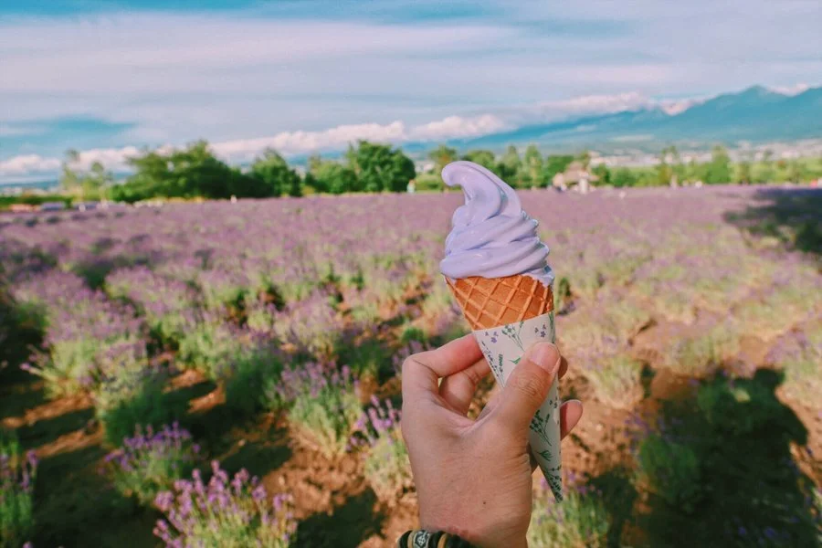 5%EC%9B%94SEO.%EC%82%BF%ED%8F%AC%EB%A1%9C%EC%97%AC%EB%A6%8411.jpg?type=w1200