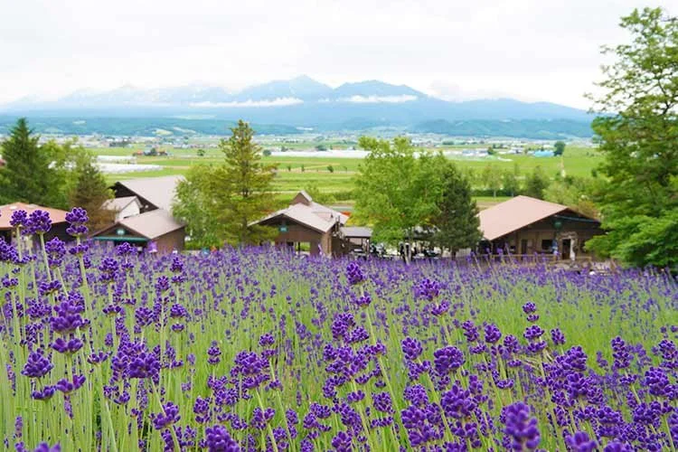 5-%EC%82%BF%ED%8F%AC%EB%A1%9C.jpg?type=w1200