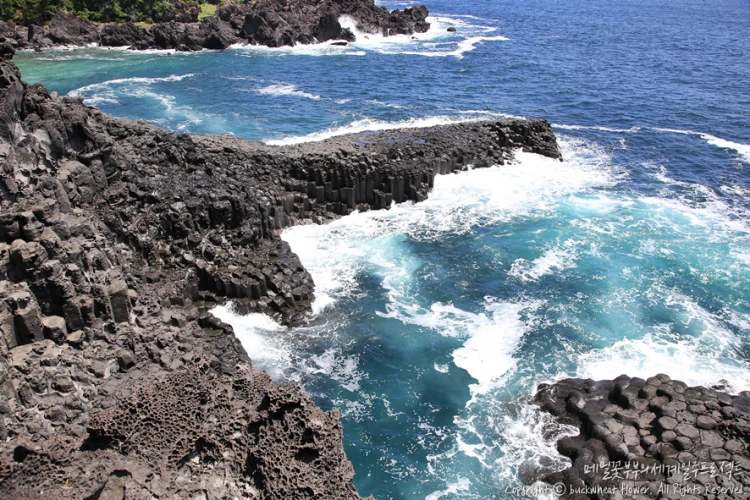 %EB%8C%80%ED%8F%AC%EC%A3%BC%EC%83%81%EC%A0%88%EB%A6%AC_01.png?type=w1200