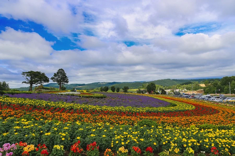 5%EC%9B%94SEO.%EC%82%BF%ED%8F%AC%EB%A1%9C%EC%97%AC%EB%A6%8422.jpg?type=w1200