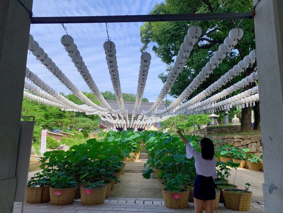 KakaoTalk_20190906_224402924_04.jpg?type=w1200