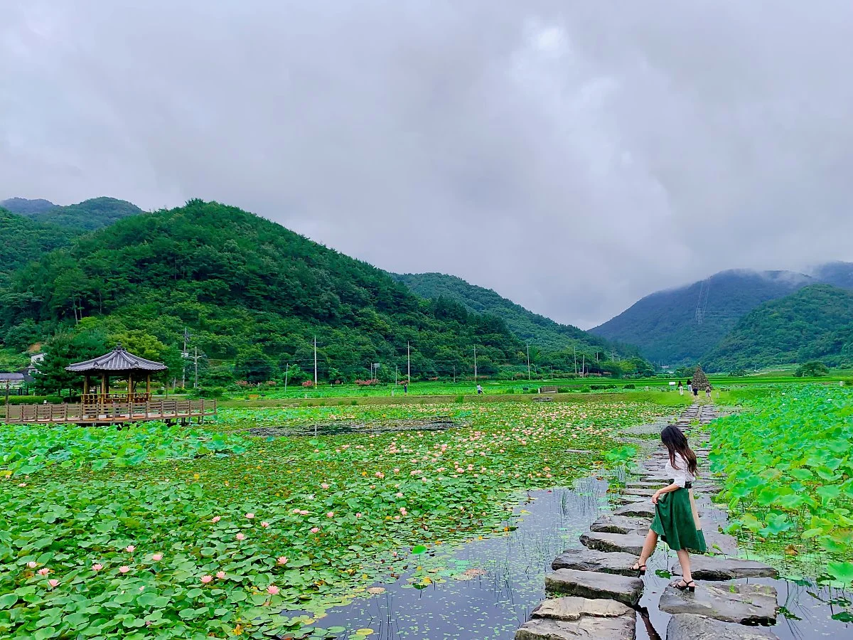 IMG_2680.JPG?type=w1200