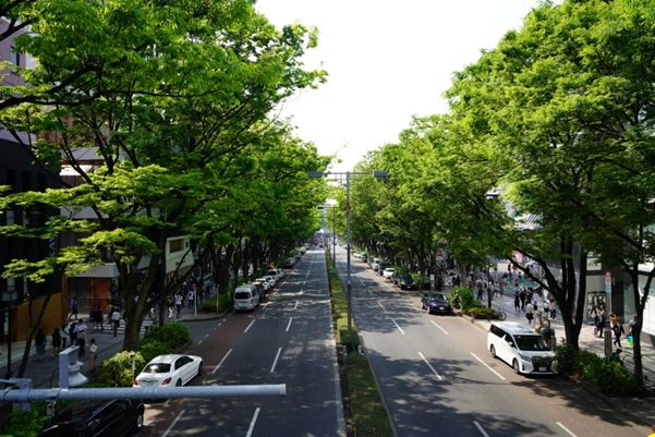 image.png?type=w1200