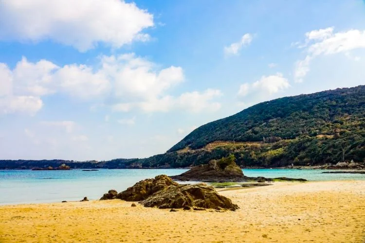 022-22.jpg?type=w1200