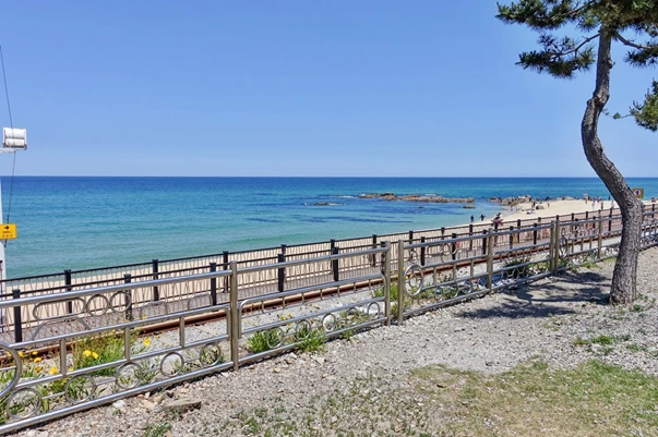 image.png?type=w1200