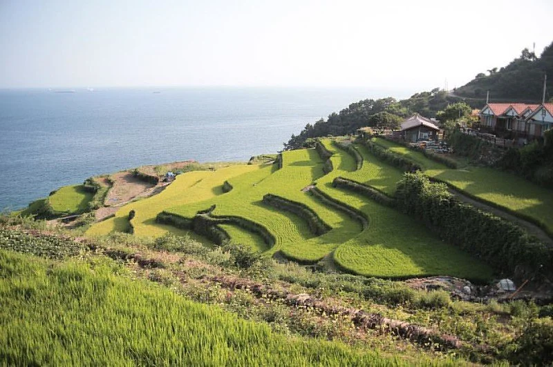 29084194640_5df282324a_c.jpg?type=w1200